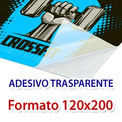 Stampa su Trasparente formato 120x200