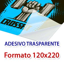 Stampa su Trasparente formato 120x220