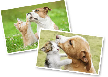 Fotografa con pazienza Fotografa con pazienza