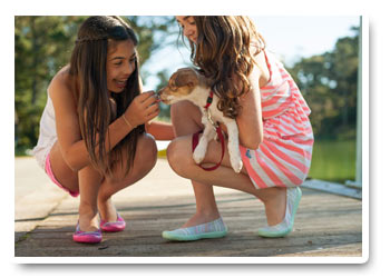 Fotograli mettendoti al loro livello