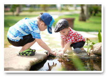 Cattura i momenti naturali