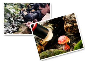 Usa luce e riflettori Usa luce e riflettori