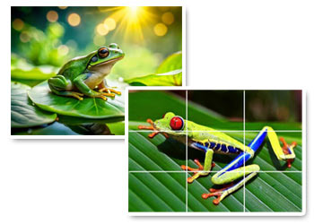 Composizione e sfondo Composizione e sfondo