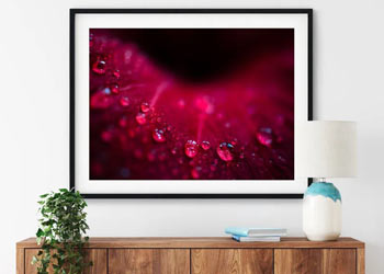 Post-produzione e focus stacking Post-produzione e focus stacking