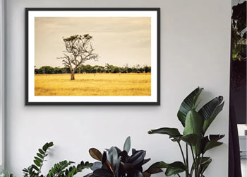 Trasforma i tuoi scatti in opere da ammirare Trasforma i tuoi scatti in opere da ammirare