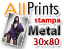 Stampa Metal Formato 30x80