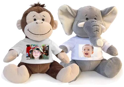 Peluche con Foto