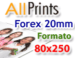 Stampa su forex 20mm formato 80x250