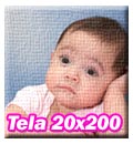 Stampa Foto su Tela Canvas f.to 20x200