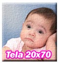 Stampa su Tela con Telaio formato 20x70