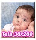 Stampa su Tela Canvas formato 30x200
